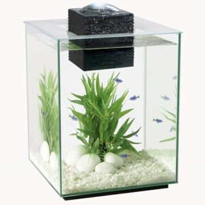 Fluval Chi "Feng Shui" 19 litros