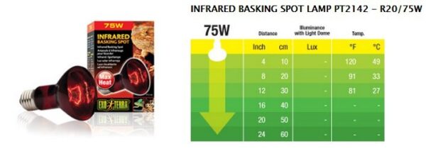 Exo Terra ampolleta Infraroja 75w