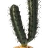 Exo Terra Cactus Finger