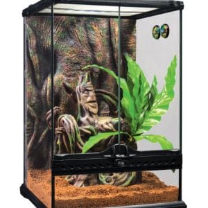 Exoterra Gecko Crestado Kit terrario