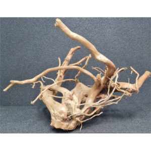 Raiz spider wood talla XL cod1 PREMIUM