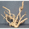 Raiz spider wood talla XL cod5 PREMIUM
